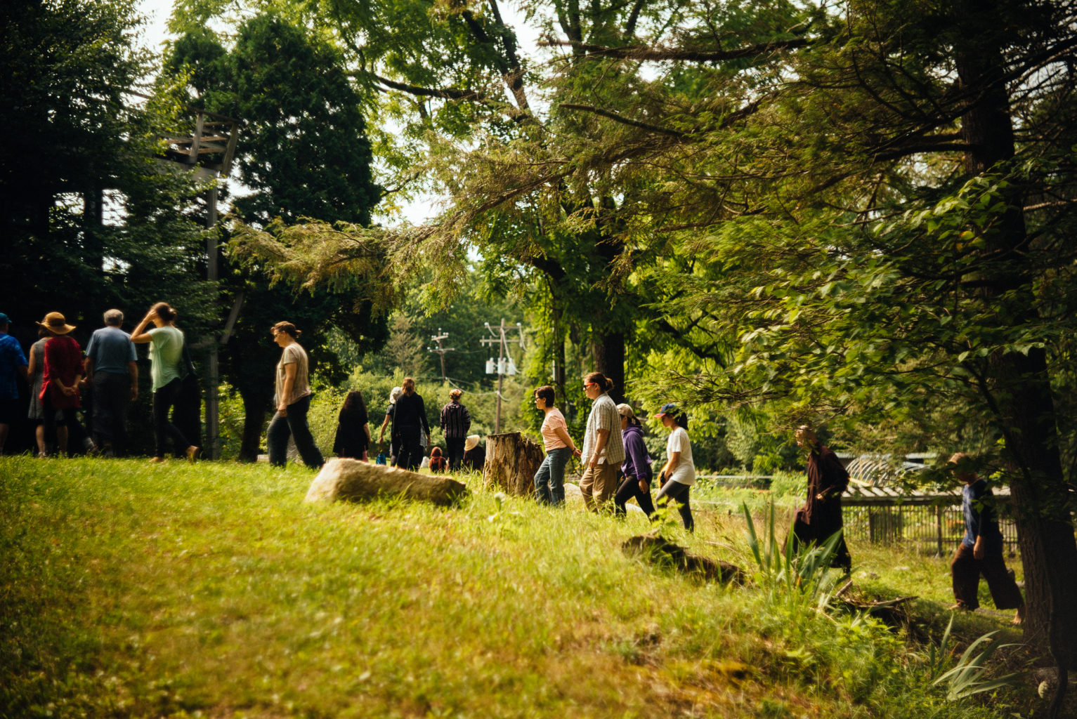 Walking Meditation